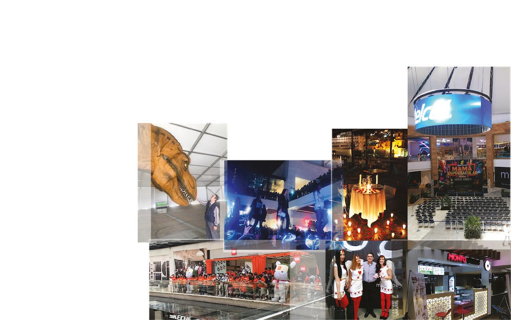 Publicidad y Mercadotecnia